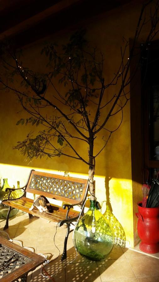 Bed and Breakfast La Cascina Di Alice Castiglione Delle Stiviere Exterior foto