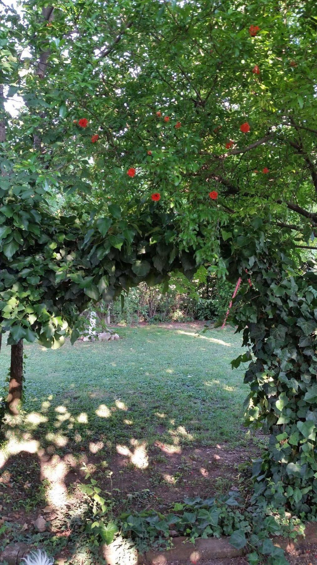 Bed and Breakfast La Cascina Di Alice Castiglione Delle Stiviere Exterior foto